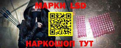мдпв Донской
