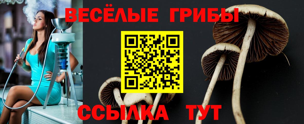 Псилоцибиновые грибы Psilocybine cubensis  Вход с VPN  Мурманск 